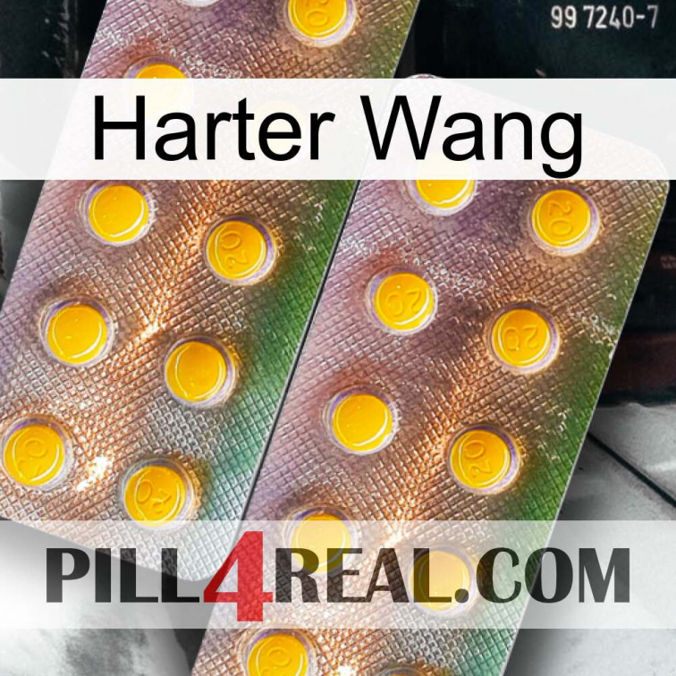 Hard Wang new10